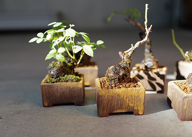 リース・レンタル