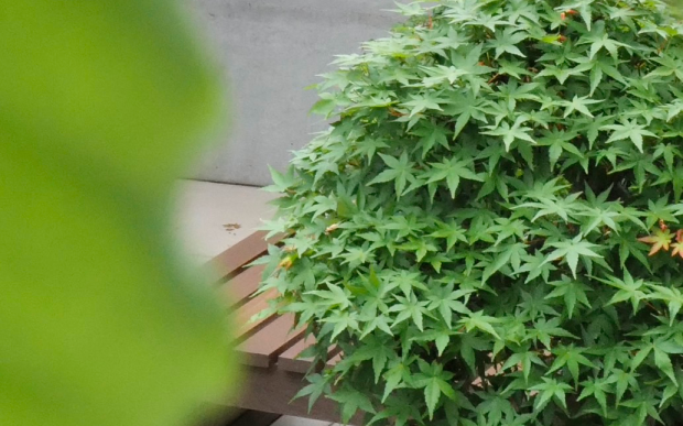 時間がつくる価値