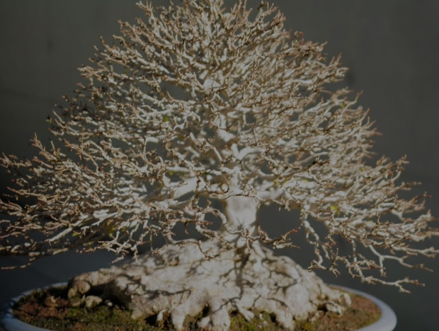 購入・アフターケア